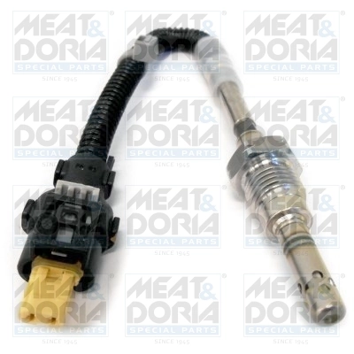 Sensor, exhaust gas temperature